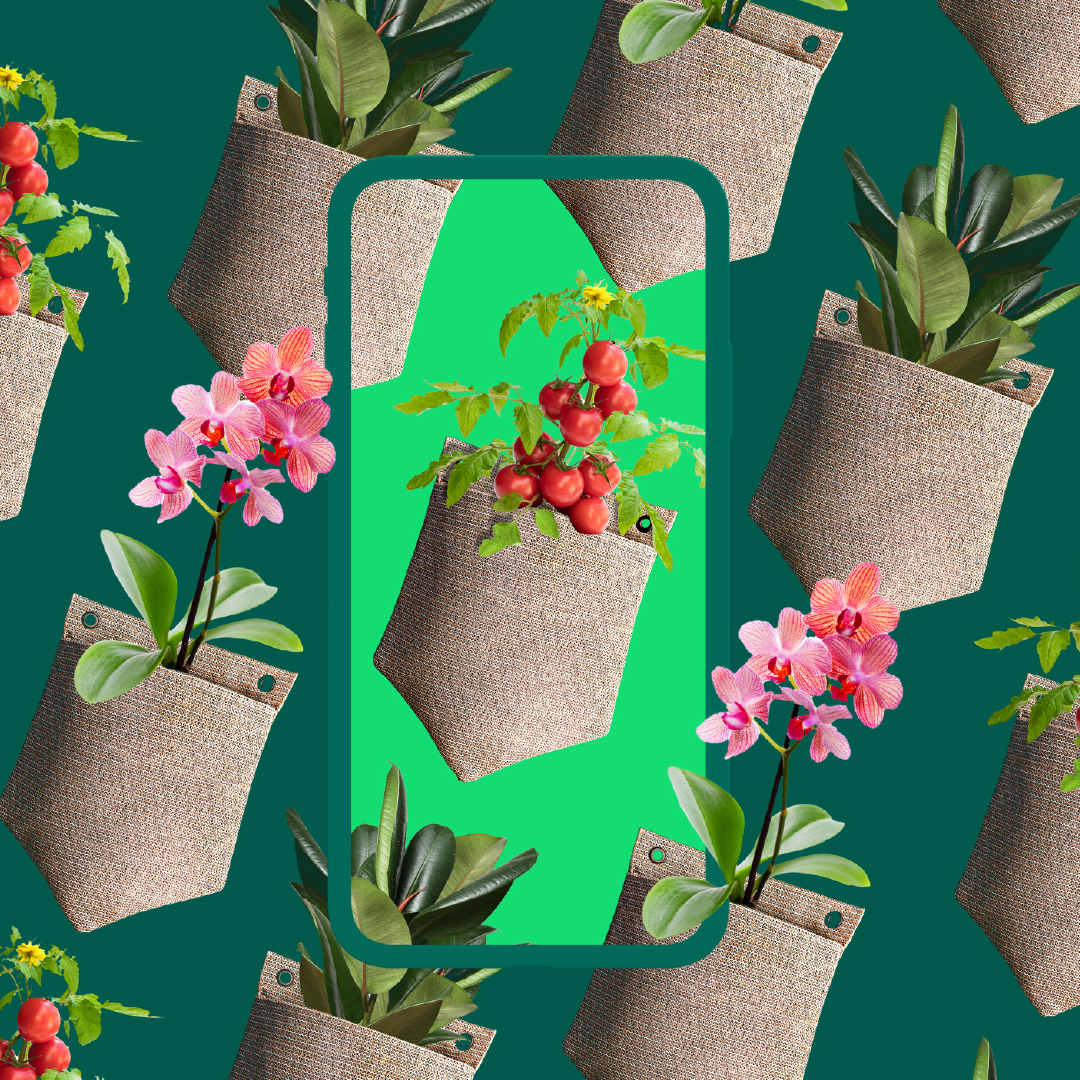 PlantPockets – USA